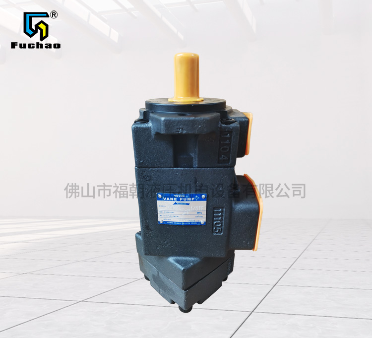  Duplex constant displacement pump