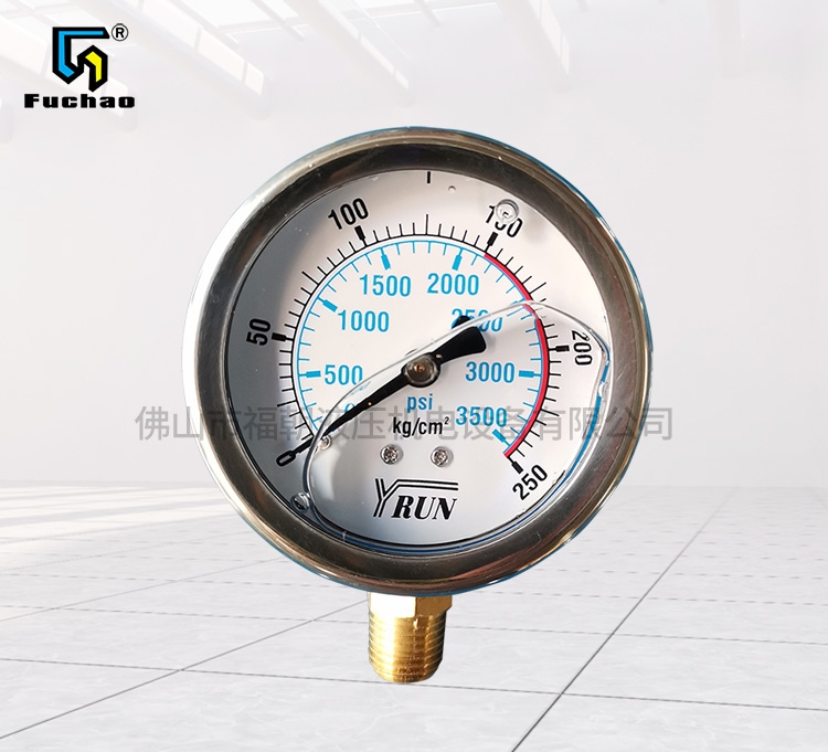  Guangxi straight out pressure gauge
